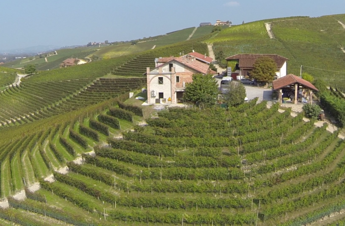 Tourisme viticole – Piémont